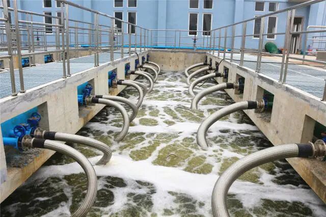 污水如何处理？一起来涨知识