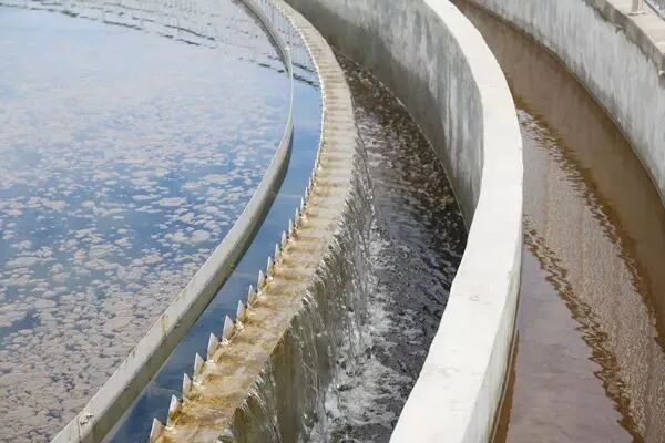 污水如何处理？一起来涨知识